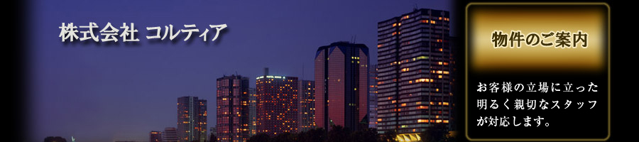 ЃReBA snLʒ219-13 03-3994-1581 ݃Ap[g }V ݎ X